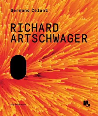 Richard Artschwager cover