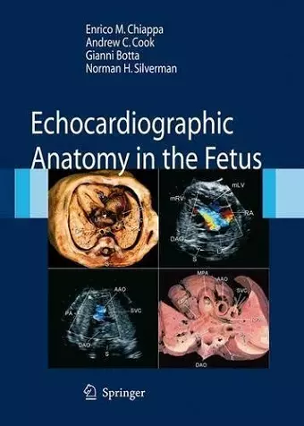 Echocardiographic Anatomy in the Fetus cover