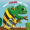 My First Jigsaw Book: What Color Are You? cover