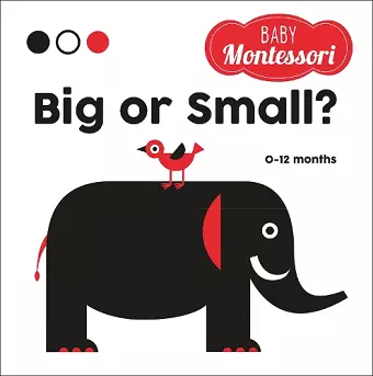 Big or Small? cover