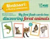 My First Flash Cards Box: Discovering Forest Animals - Montessori World of Achievements cover