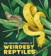 The Amazing Catalog of Weirdest Reptiles cover