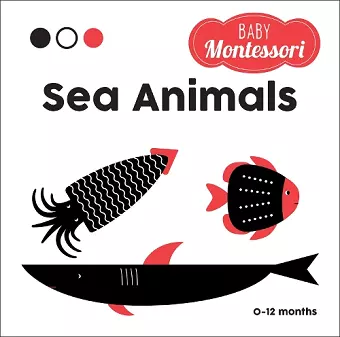 Sea Animals cover