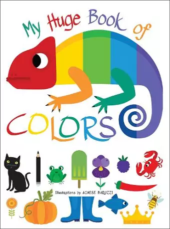My Huge Book of Colors cover