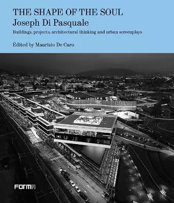 The Shape of the Soul cover