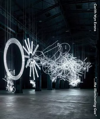 Cerith Wyn Evans cover