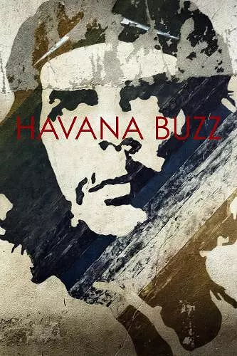 Havana Buzz cover