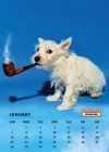 ToiletMartin PaperParr Calendar 2020 cover