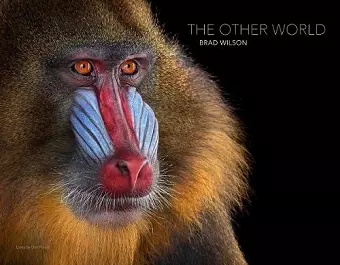 The Other World: Animal Portraits cover