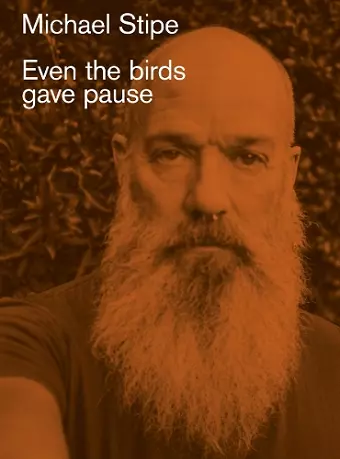 Michael Stipe: Even the birds gave pause cover