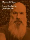 Michael Stipe: Even the birds gave pause cover