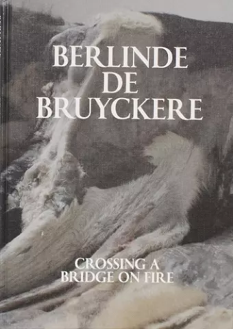 Berlinde De Bruyckere: Crossing a Bridge on Fire cover