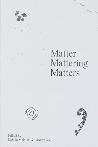 Matter Mattering Matters: A Scienticity Reader cover