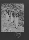 Le Nemesiache: Reclaiming Mythological Rituals cover
