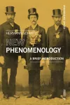 New Phenomenology cover