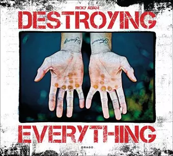 Destroying Everything cover