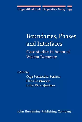 Boundaries, Phases and Interfaces cover