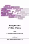 Perspectives in Ring Theory cover