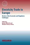 Electricity Trade in Europe Review of the Economic and Regulatory Changes cover