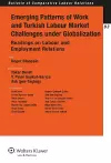 Emerging Patterns of Work and Turkish Labour Market Challenges under Globalization cover