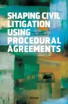 Shaping Civil Litigation Using Procedural Agreements cover