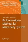 Brillouin-Wigner Methods for Many-Body Systems cover