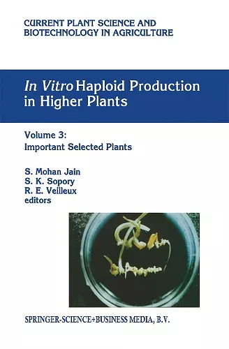 In vitro Haploid Production in Higher Plants cover