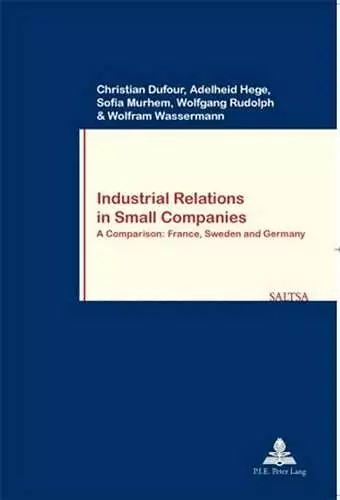 Industrial Relations in Small Companies cover