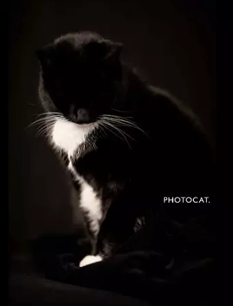 PhotoCat. cover