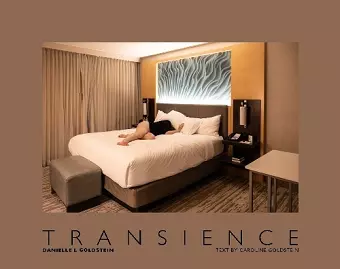 Danielle L. Goldstein: Transience cover