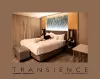 Danielle L. Goldstein: Transience cover