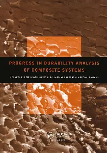 Progress in Durability Analysis of Composite Systems cover