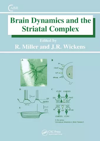 Brain Dynamics and the Striatal Complex cover