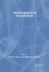 Morphogenesis of Endothelium cover