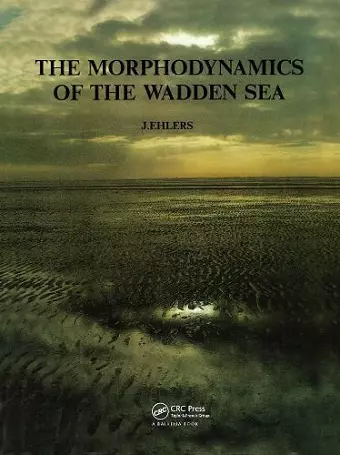 The Morphodynamics of the Wadden Sea cover