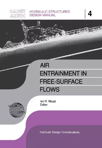 Air Entrainment in Free-surface Flow cover