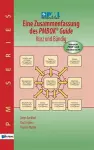 Eine Zusammenfassung des Pmbok Guide - Kurz und Bundig cover