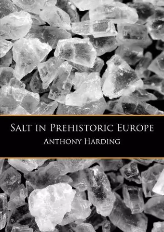 Salt in Prehistoric Europe cover