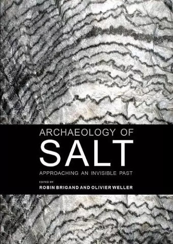 Archaeology of Salt cover