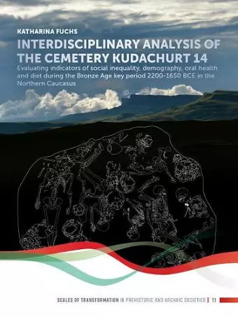 Interdisciplinary analysis of the cemetery 'Kudachurt 14' cover