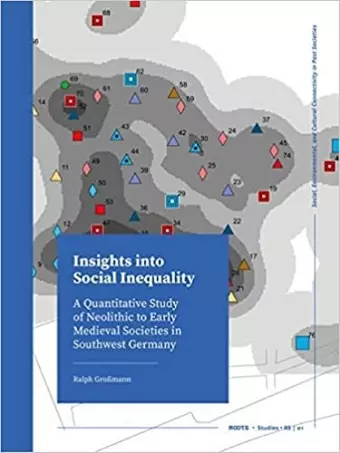 Insights into Social Inequality cover