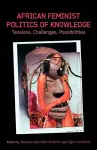 African Feminist Politics of Knowledge. Tensions, Challenges, Possibilities cover