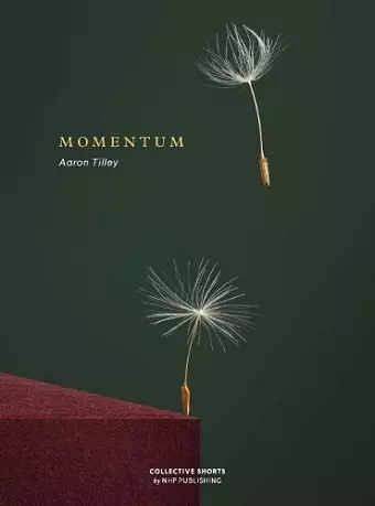 Momentum cover