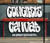Concrete Canvas cover
