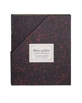 Hilma af Klint: The Five’s Sketchbooks, Nos. S2, S6 and S13 cover