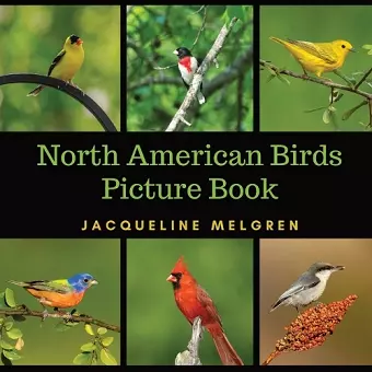 North American Birds Picture Book cover