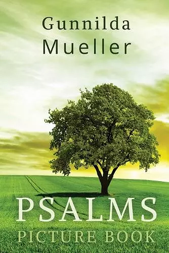 Psalms Picture Book cover