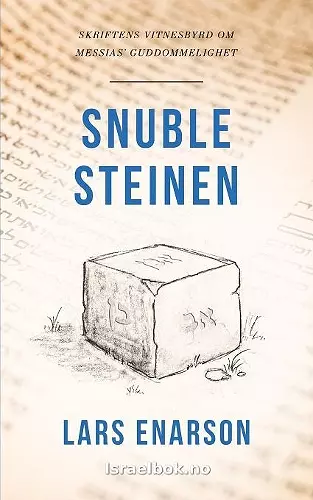 Snublesteinen cover