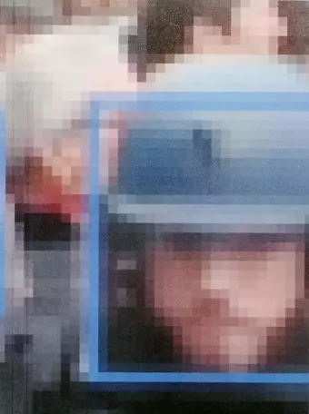 Reversed Surveillance cover