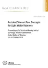 Accident Tolerant Fuel Concepts for Light Water Reactors cover